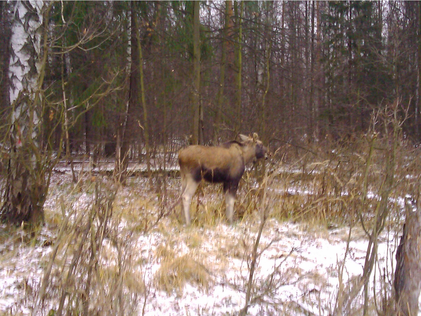 2011-11-24 15.06.25.jpg