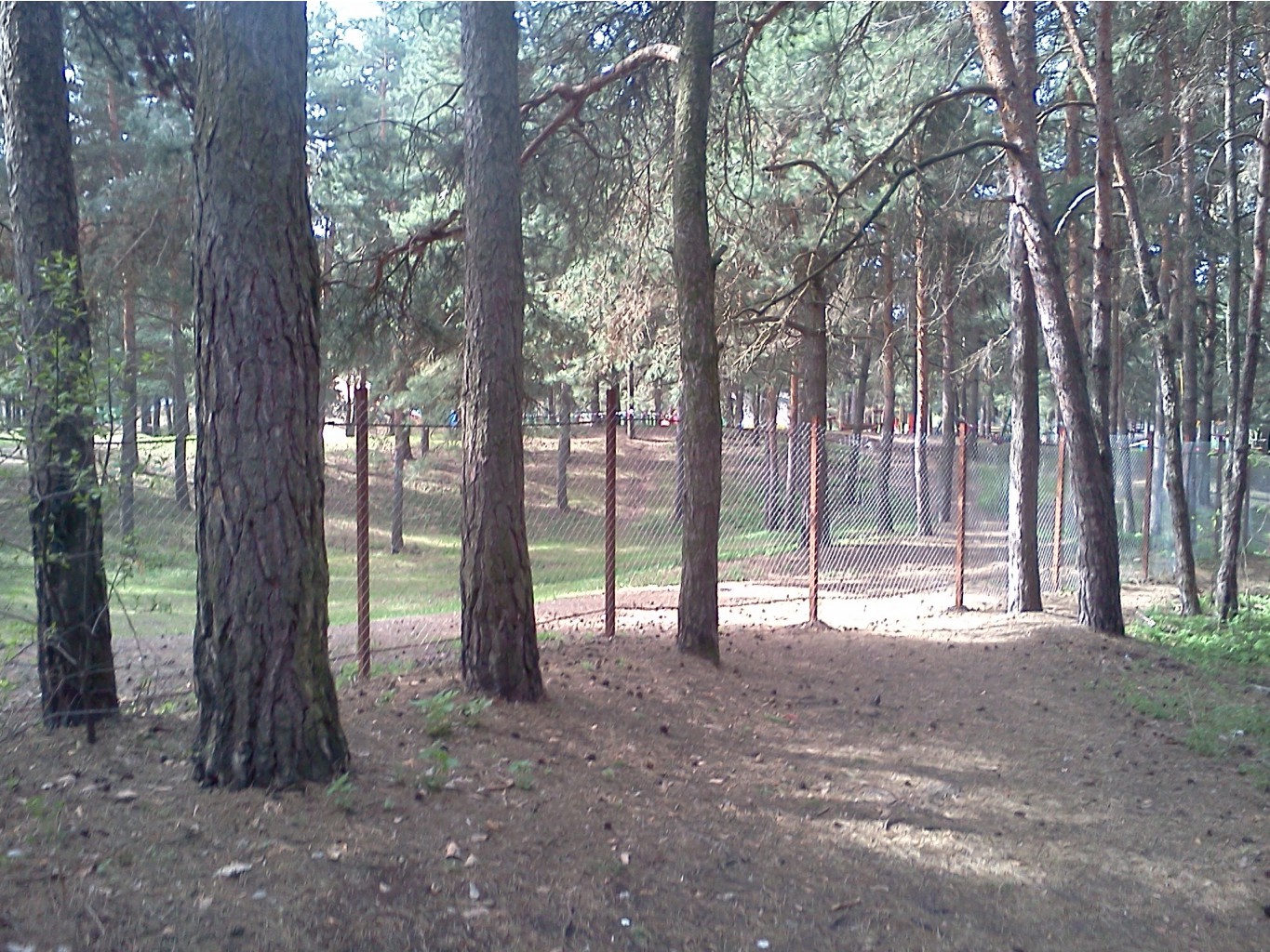 2012-04-29 10.42.53.jpg
