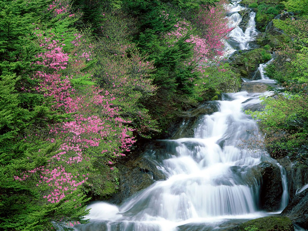  ,  Tochigi, Nikko.jpg