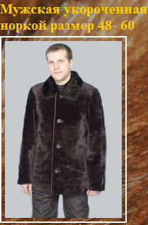 Клип.jpg