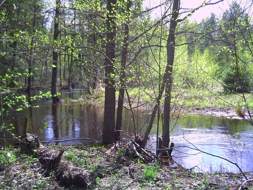 PICT0087.JPG