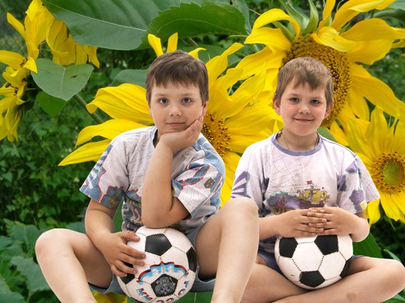 Мои подсолнушки