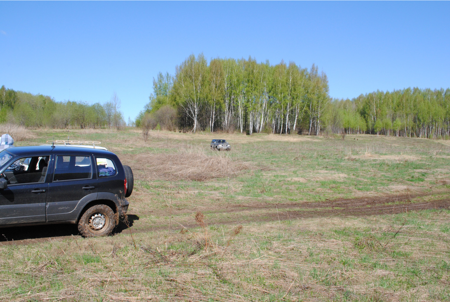 DSC_0013.jpg