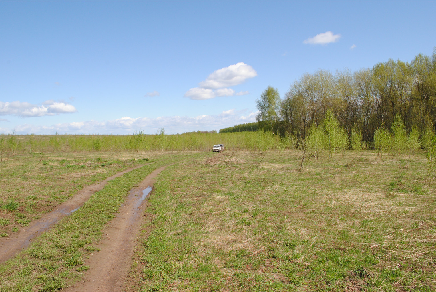 DSC_0031.jpg