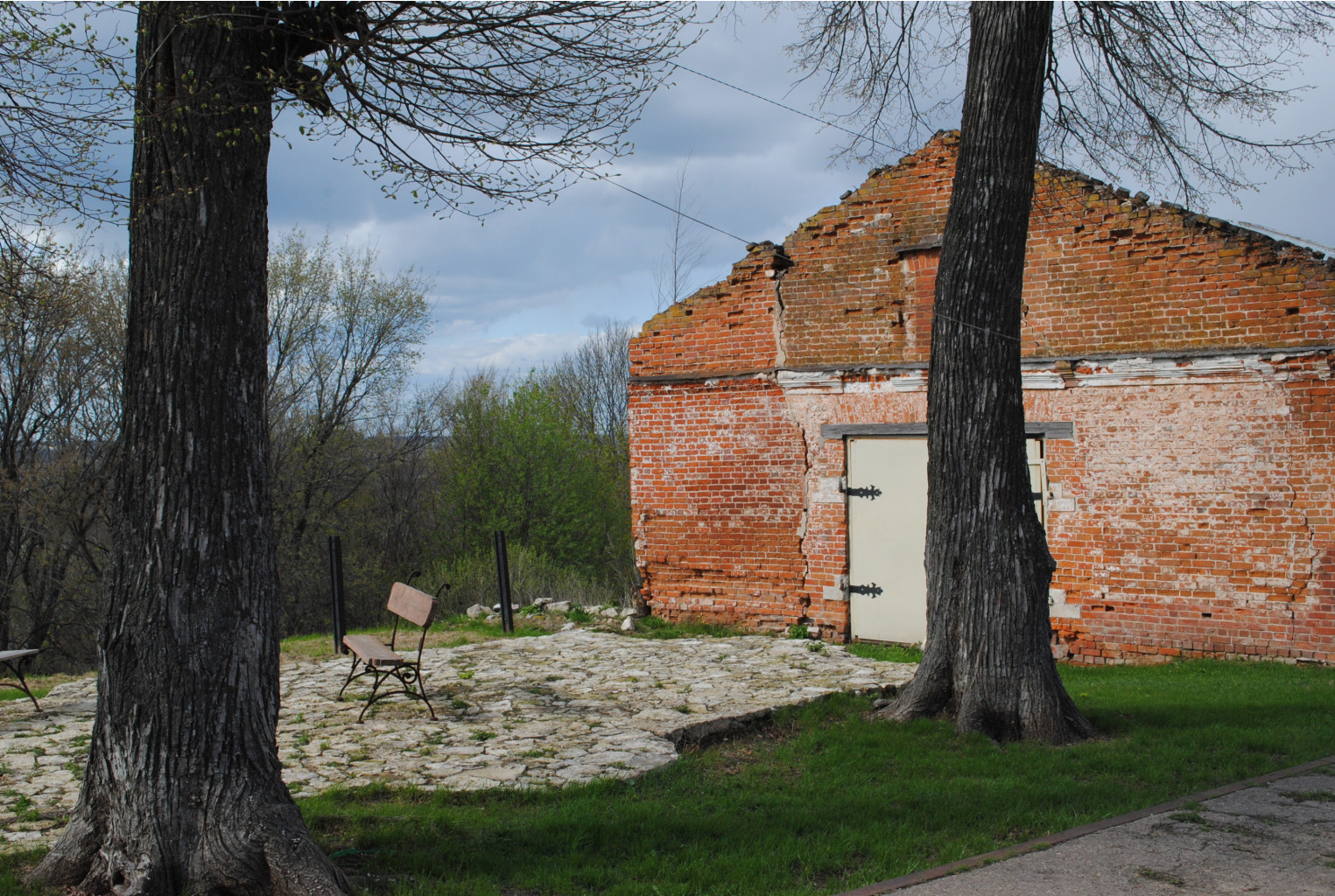 DSC_0104.jpg