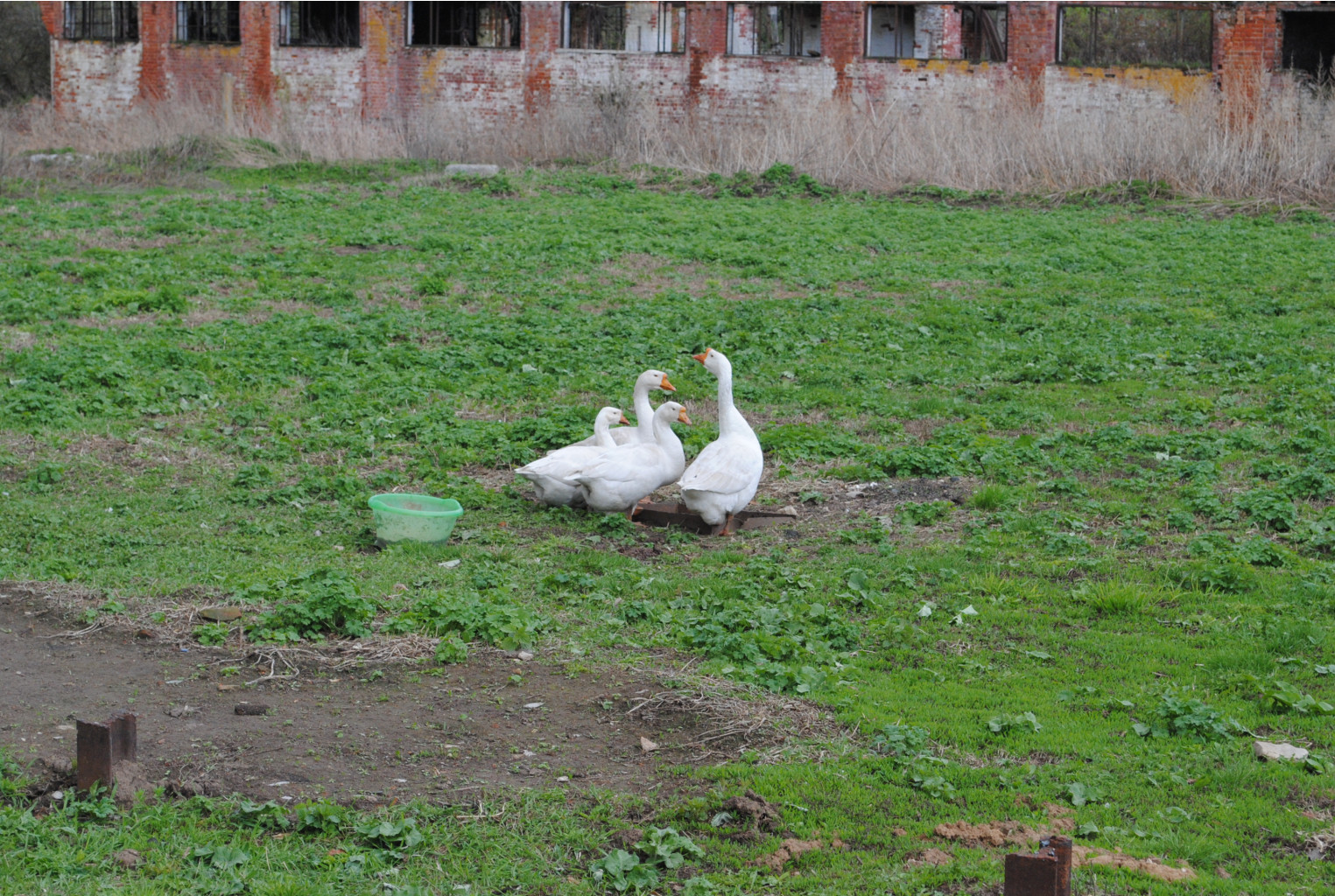 DSC_0111.jpg