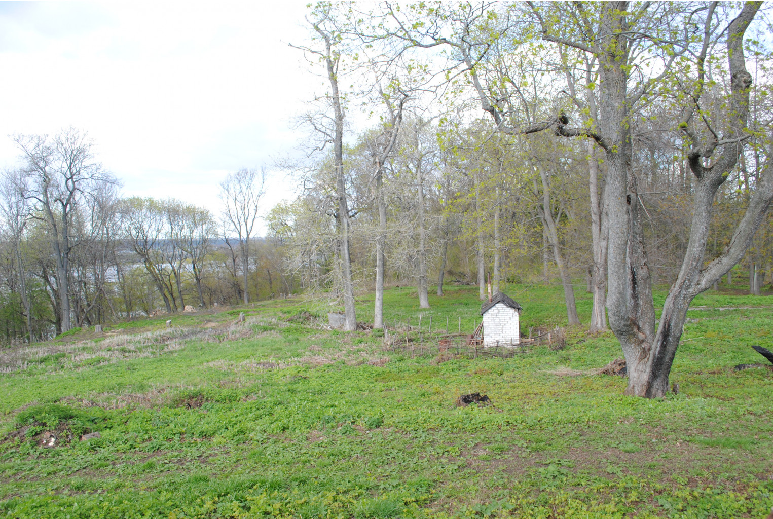 DSC_0183.jpg