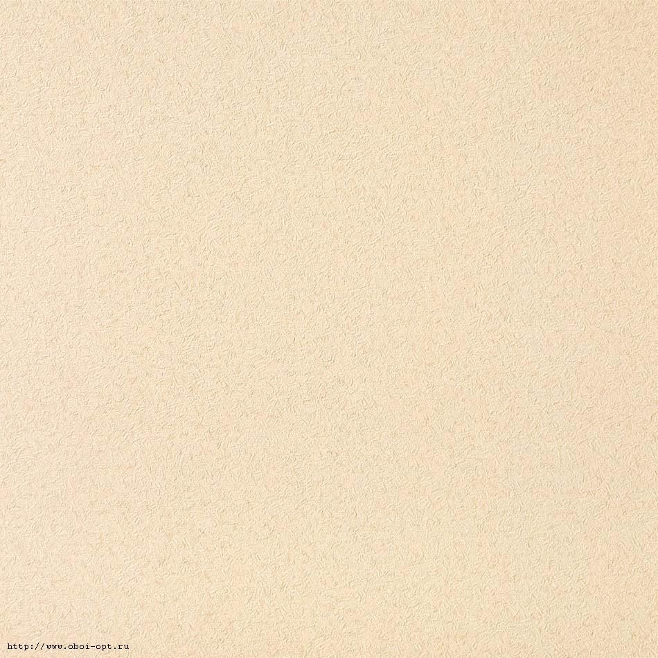 4636.jpg