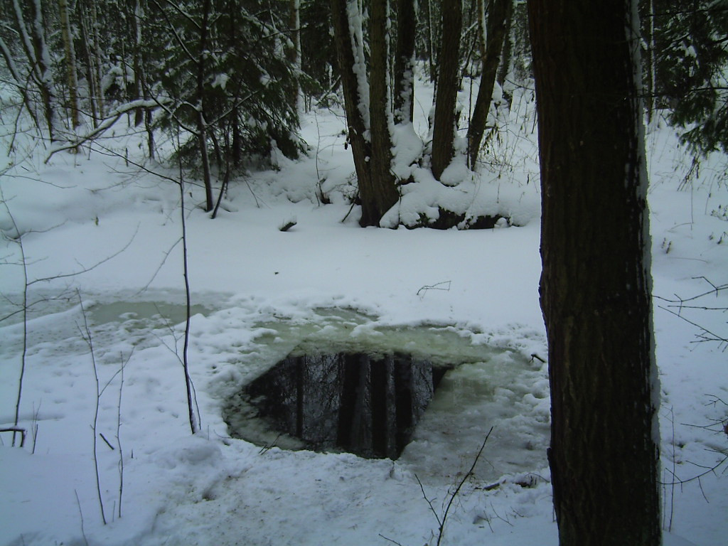 PICT0012.JPG