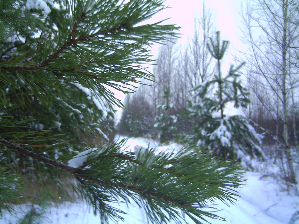 PICT0014.JPG