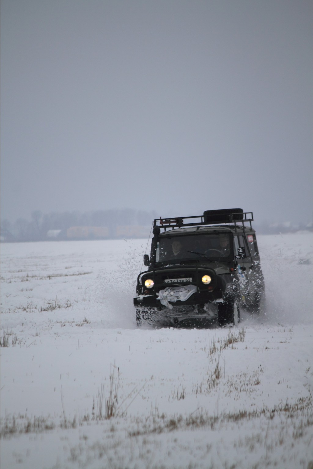 _MG_8736.jpg