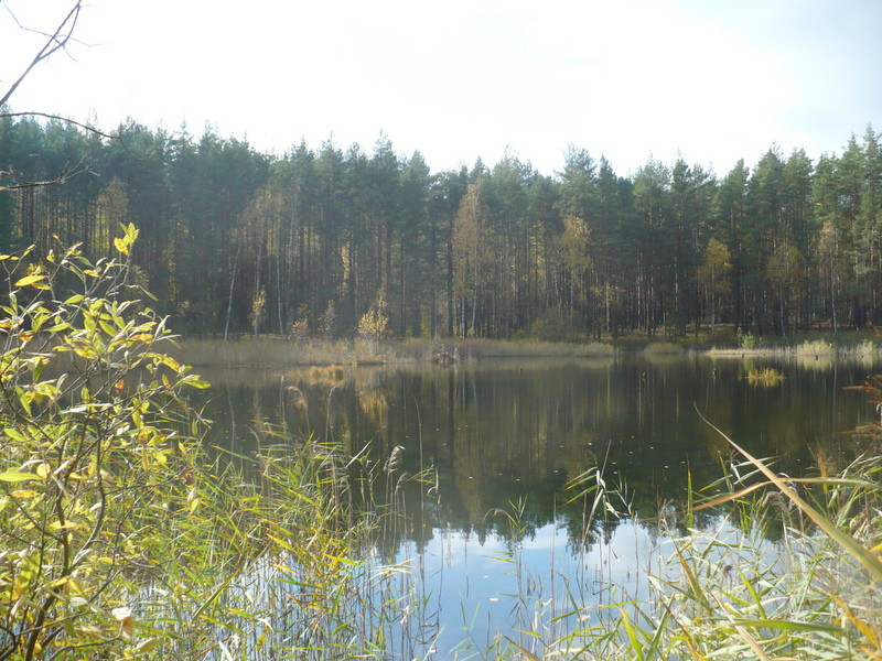 P1060769.JPG