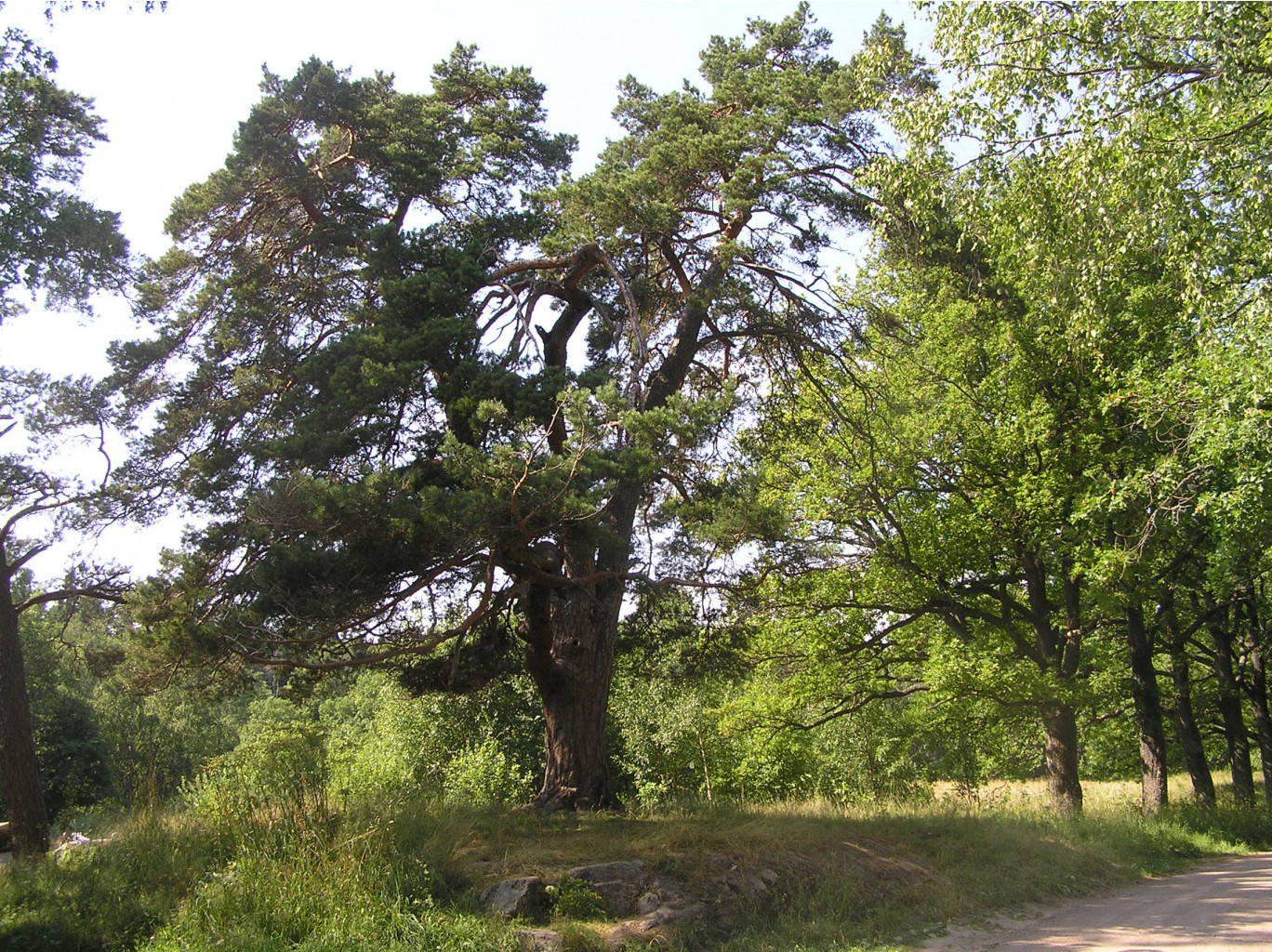 P1010179.JPG