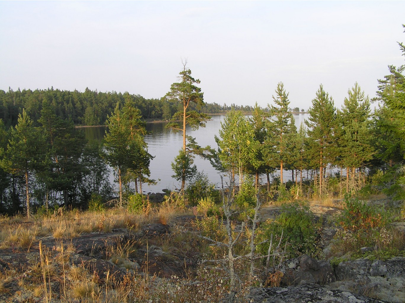 P1010289.JPG