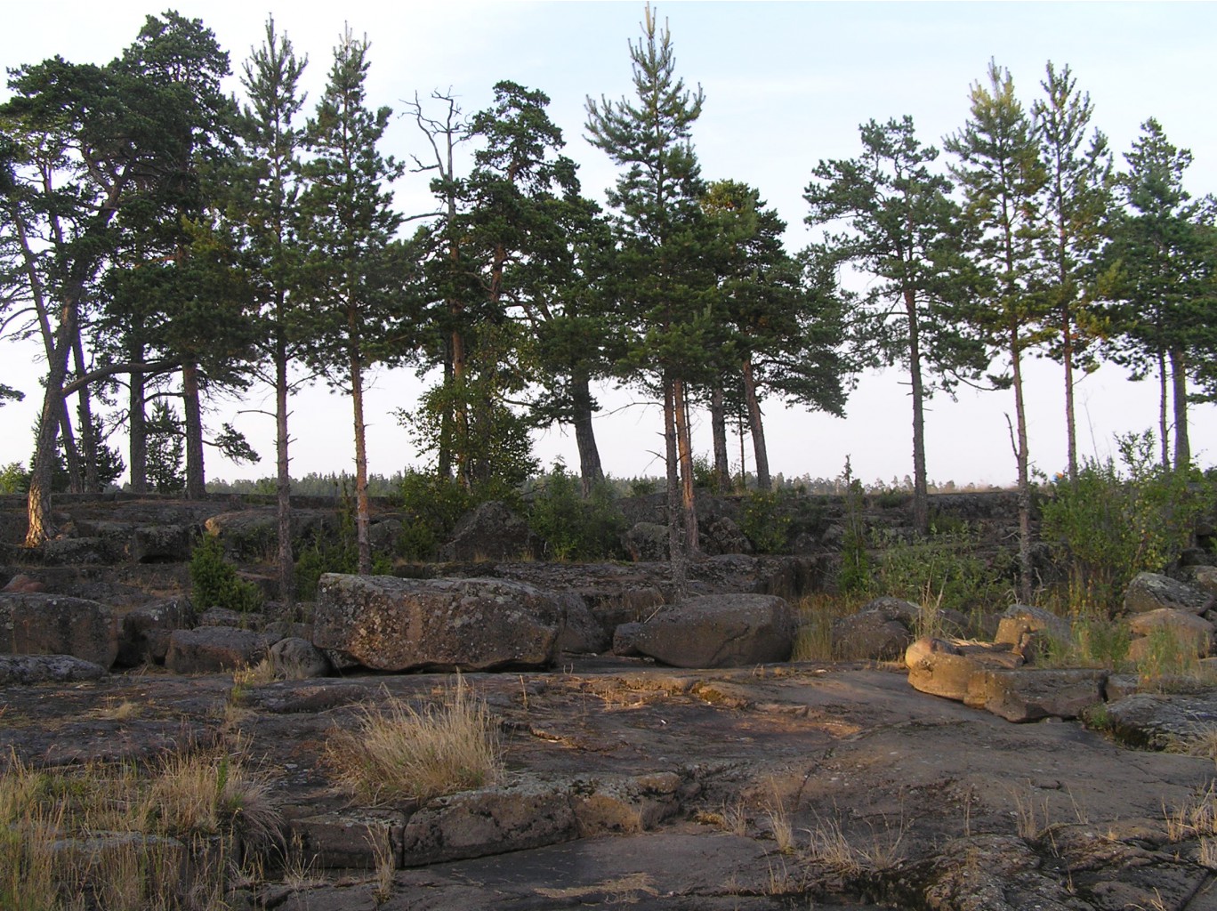 P1010302.JPG