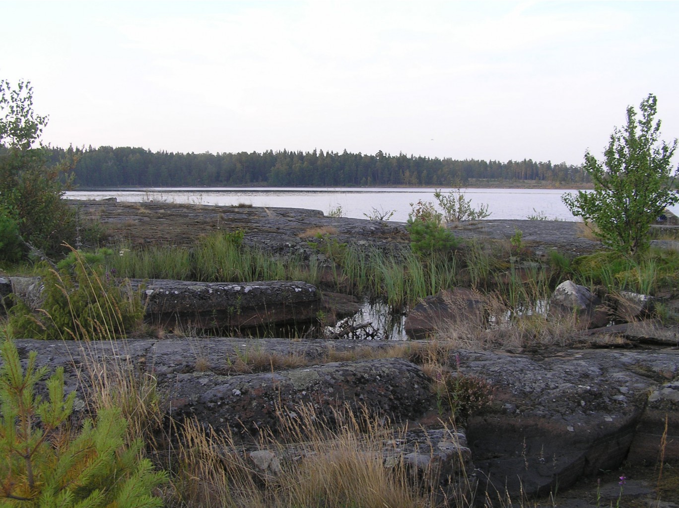 P1010309.JPG