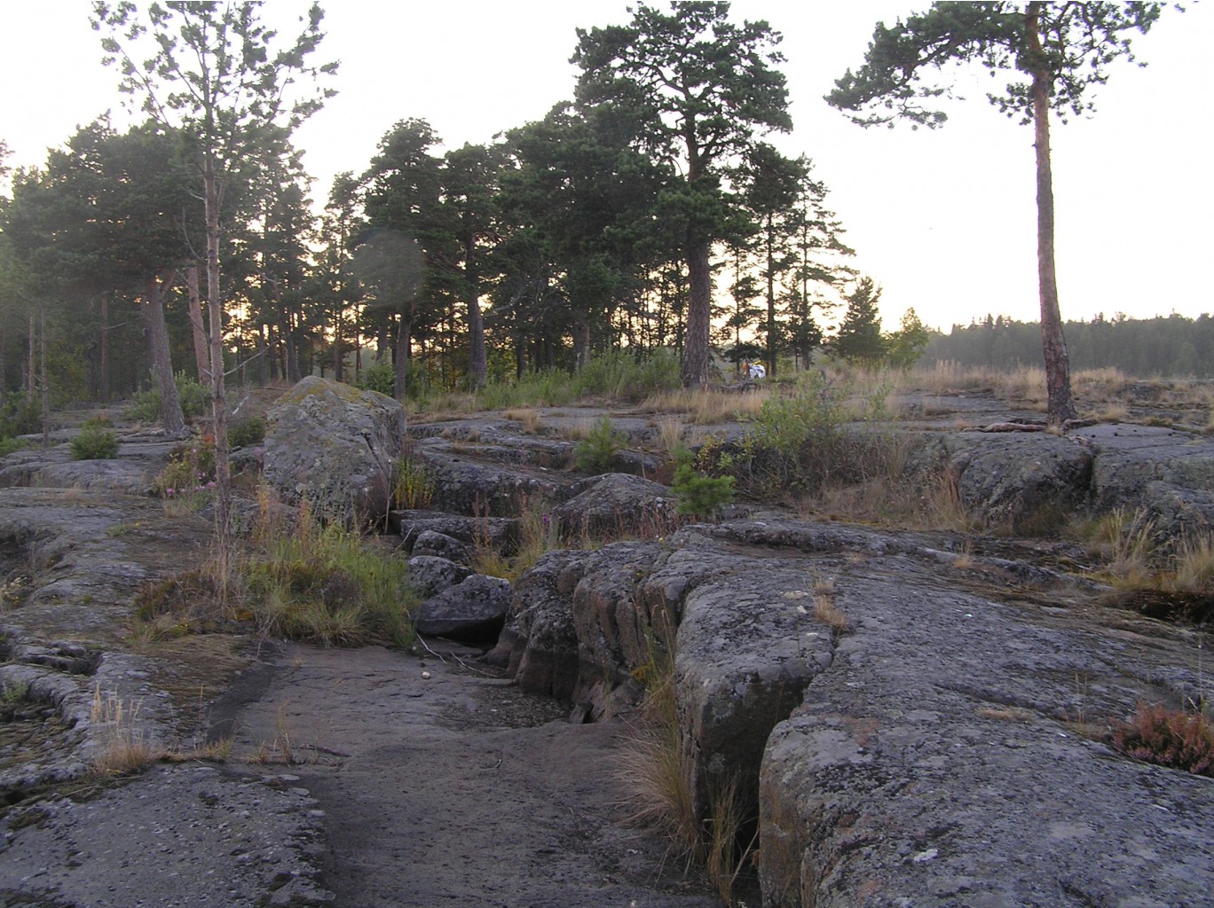P1010310.JPG