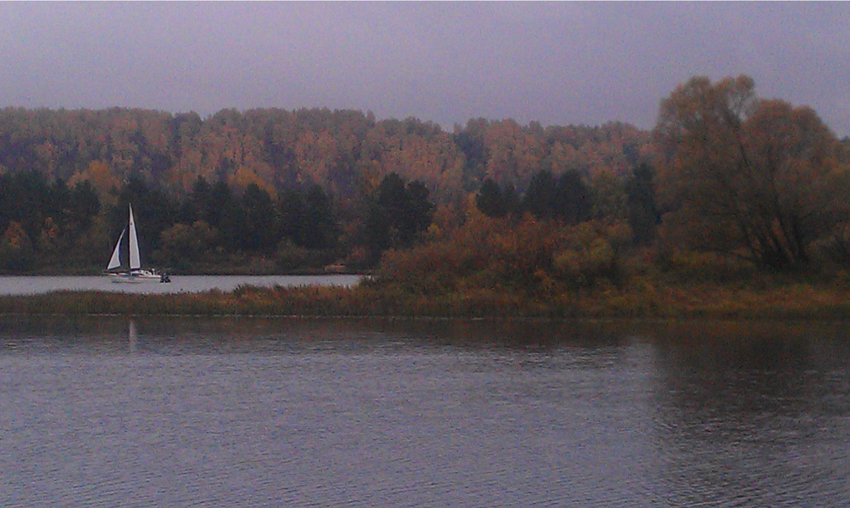 IMAG1064.jpg