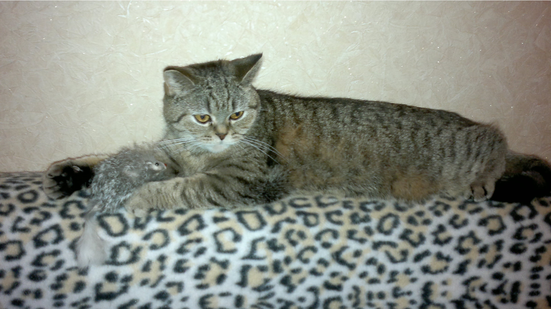 07,01,2013 023.jpg