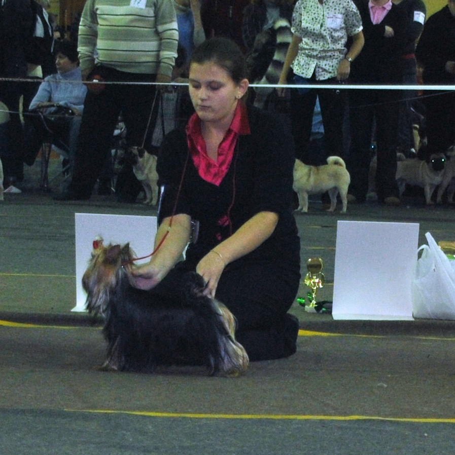 DSC_0631.jpg