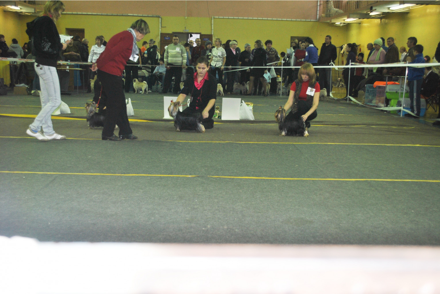 DSC_0632.jpg