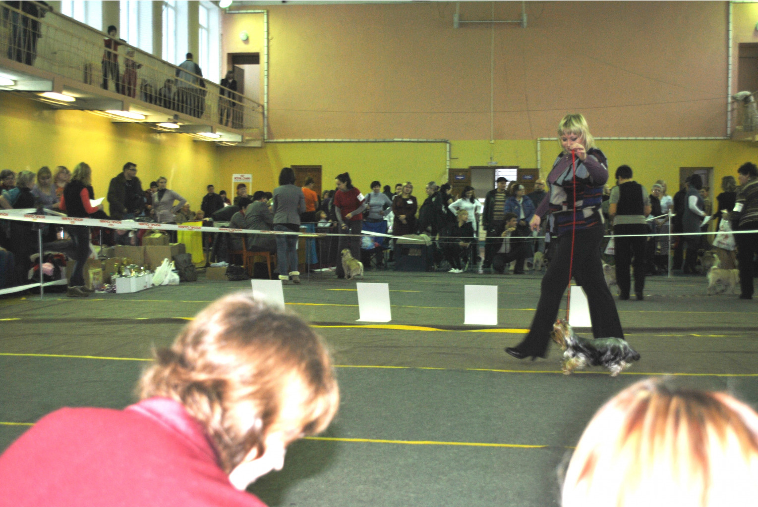DSC_0664.jpg