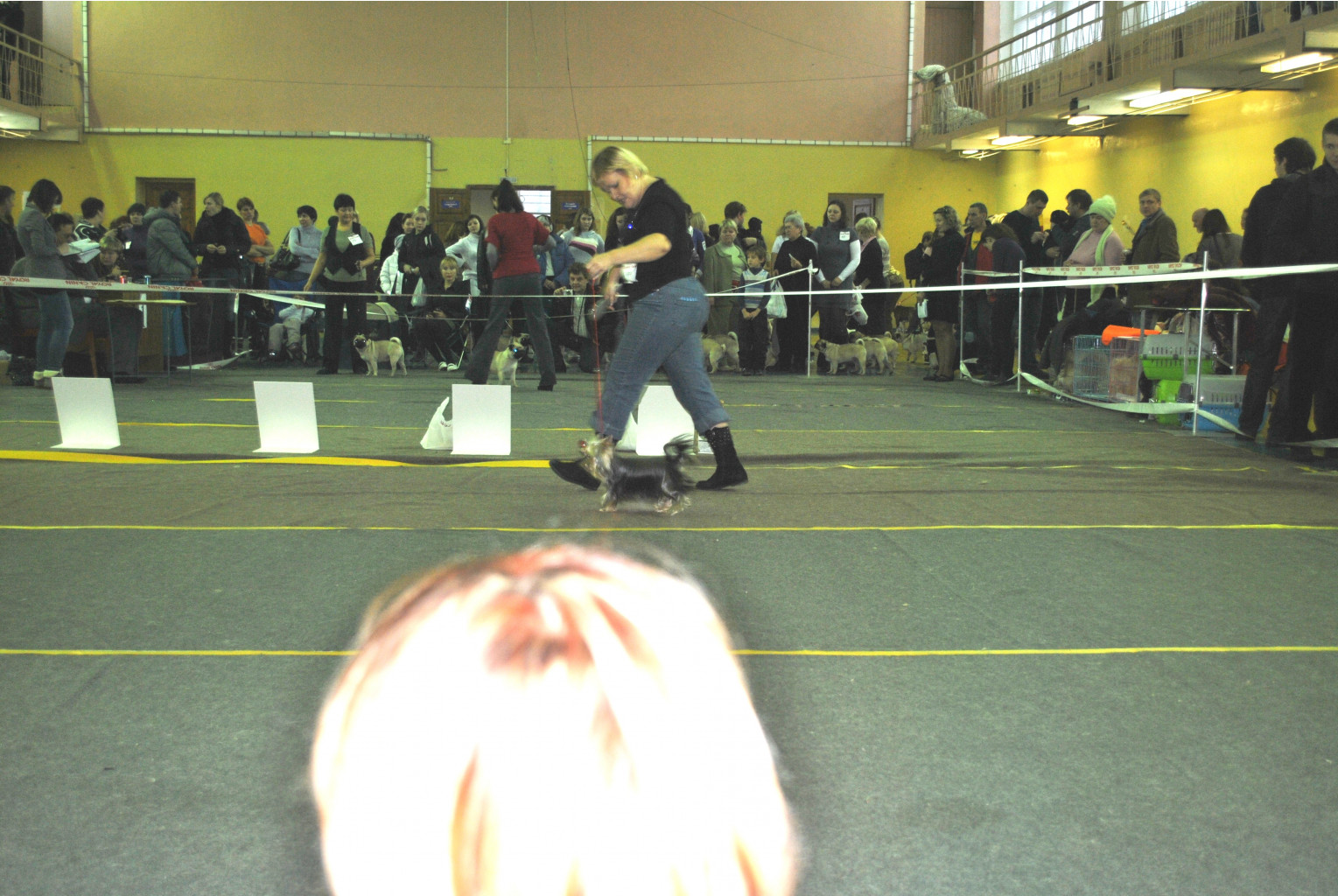 DSC_0667.jpg