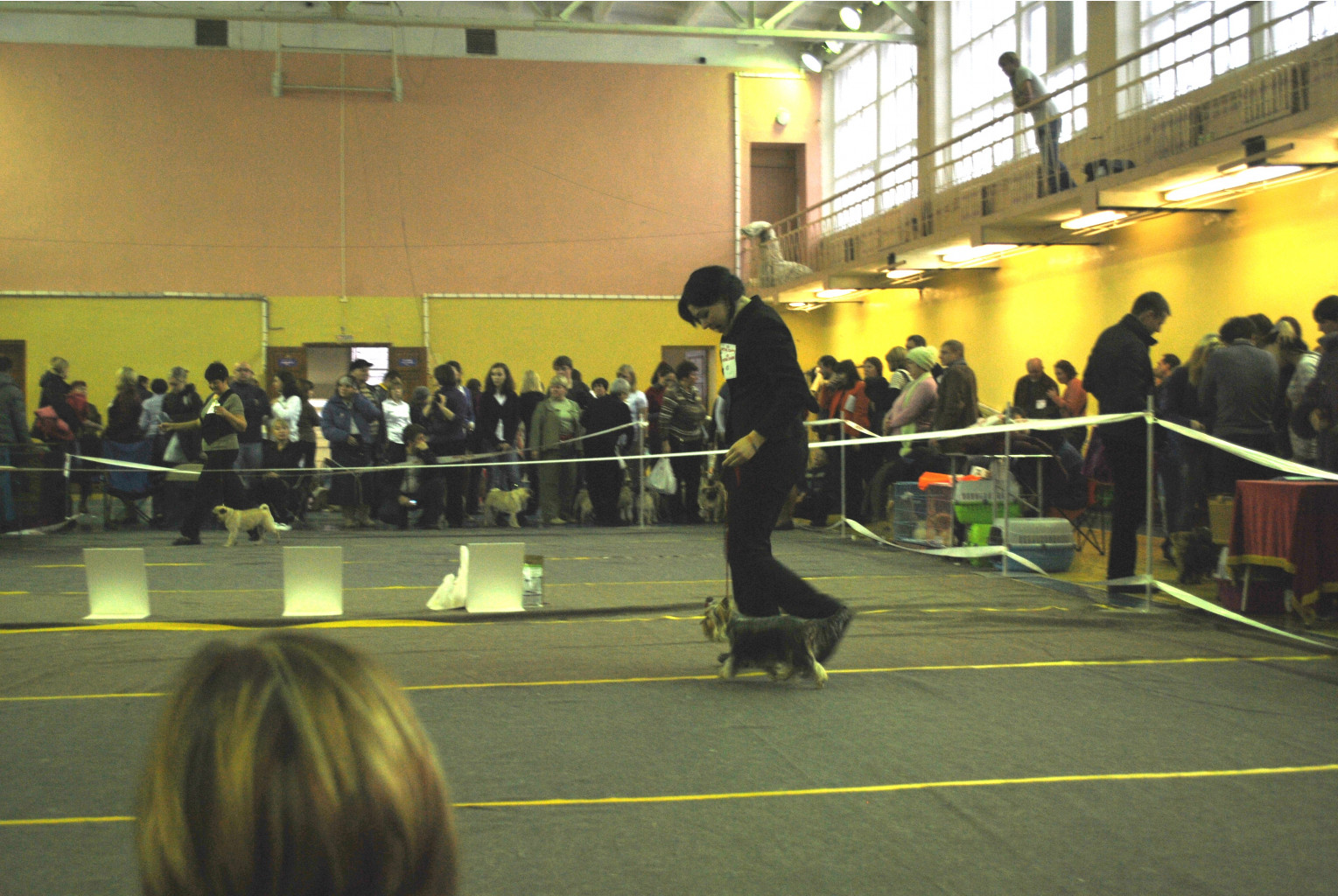 DSC_0680.jpg