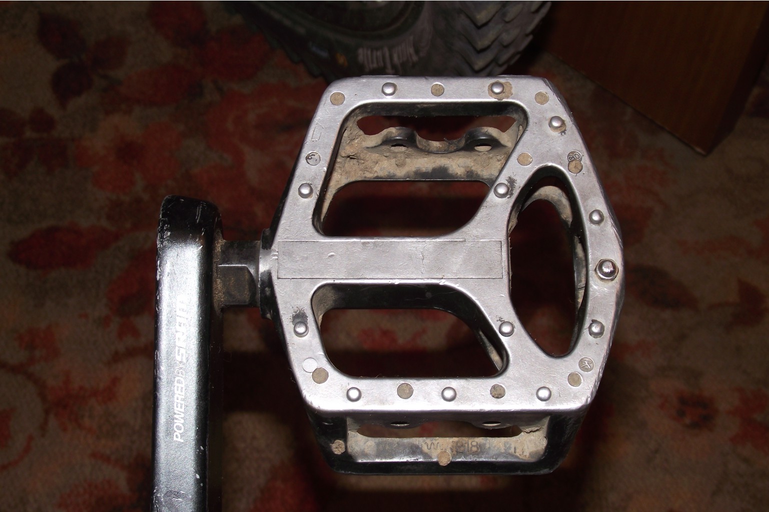 DSCF6295.JPG
