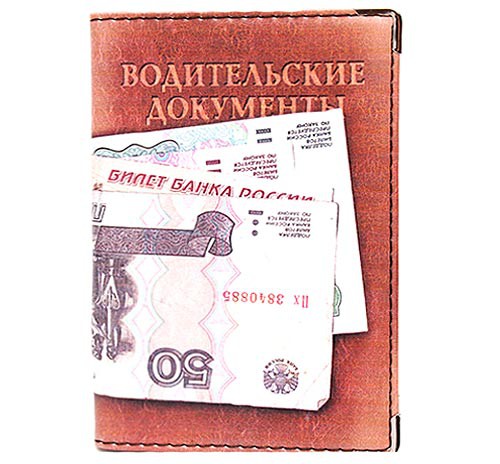 Обложка на автодокументы С денежкой.jpg