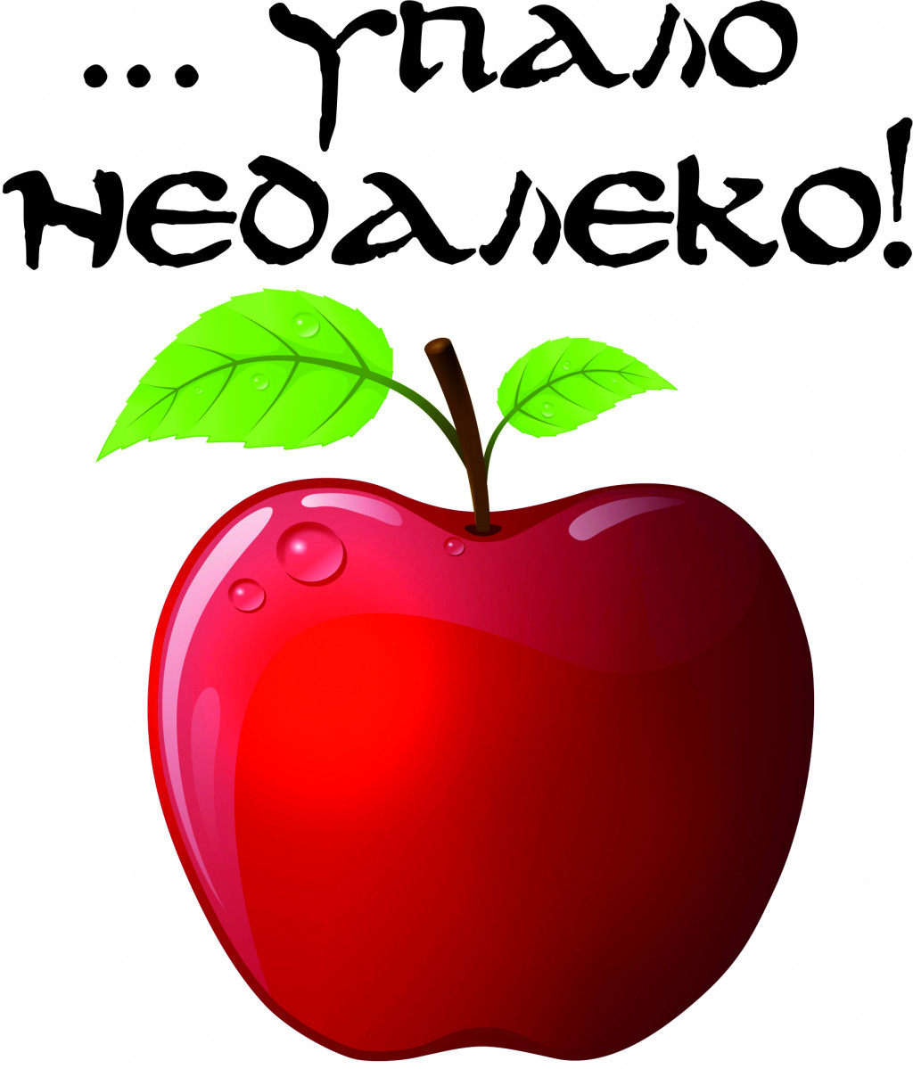 упало1.jpg