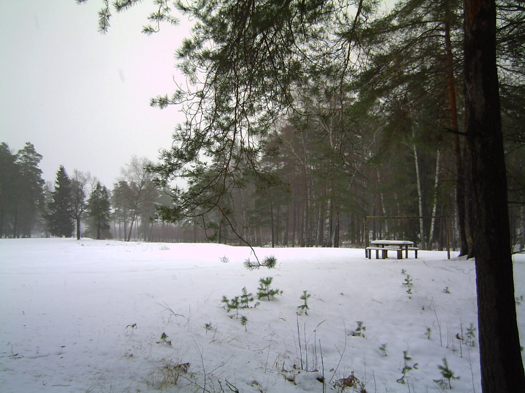 PICT0030.JPG