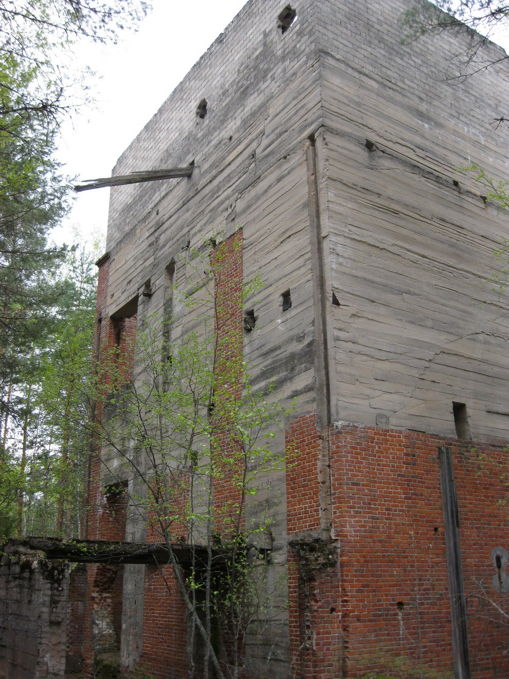 IMG_2981_resize.JPG