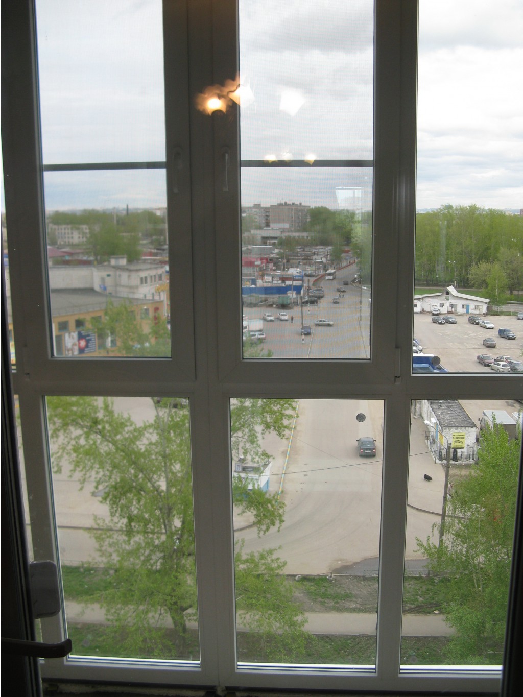 IMG_2549.jpg