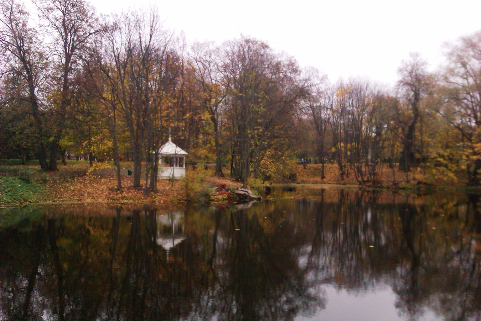 IMAG0407.jpg