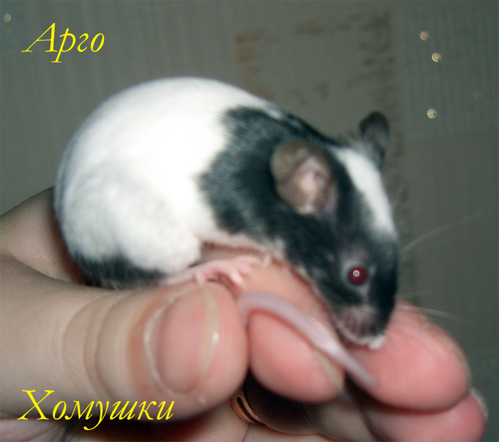17.03.2009 22:32:33