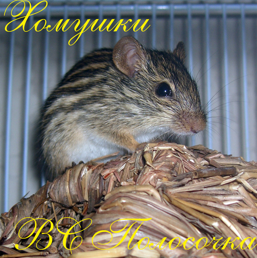 17.03.2009 22:49:20