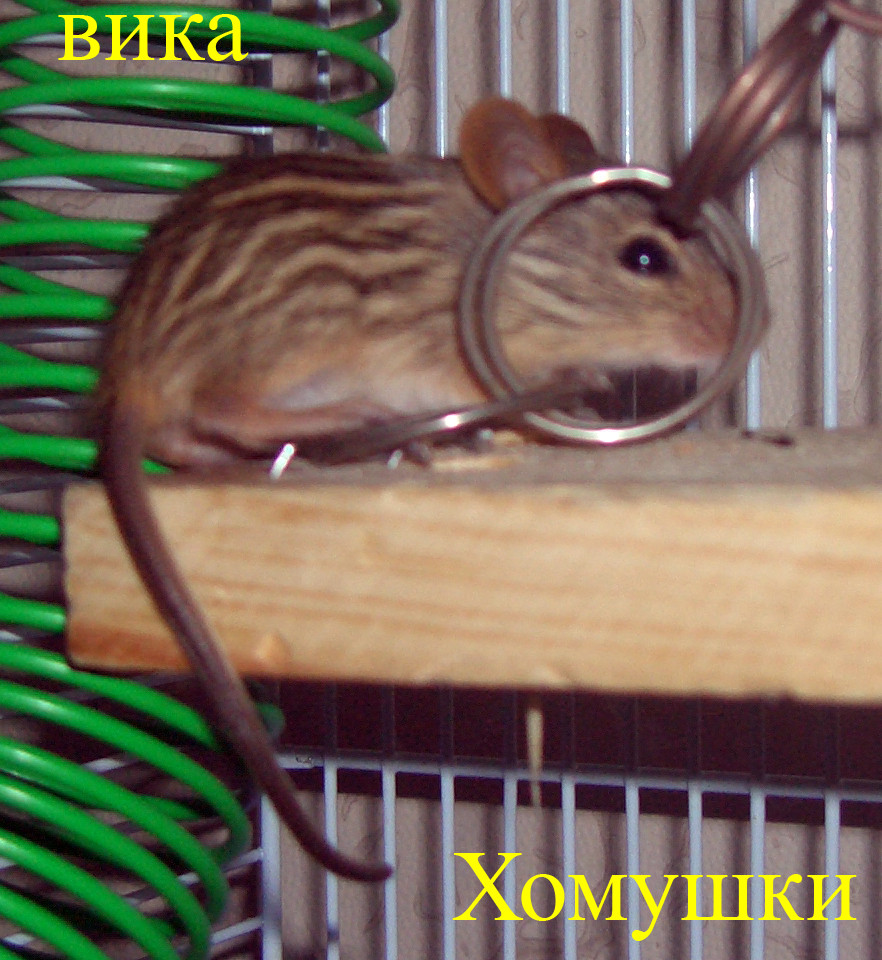 17.03.2009 22:54:56