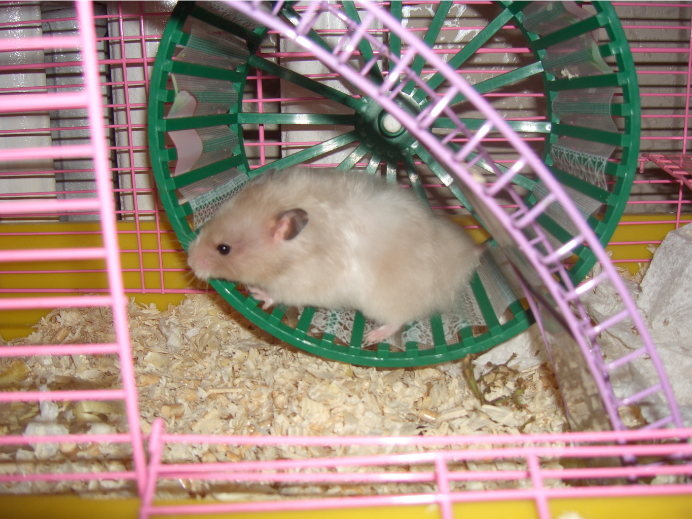 17.03.2009 23:06:29