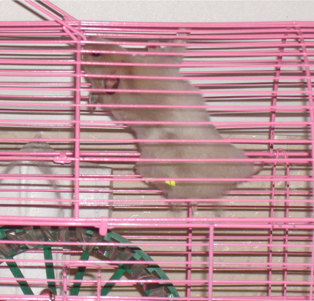 17.03.2009 23:08:53