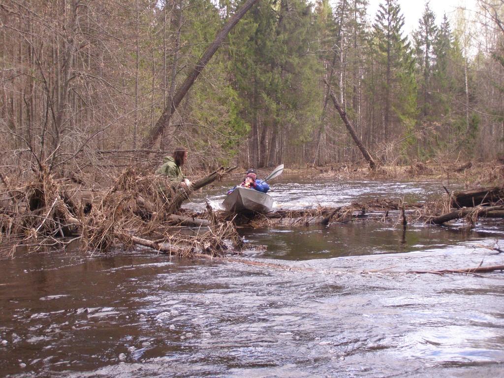 P4306724.JPG