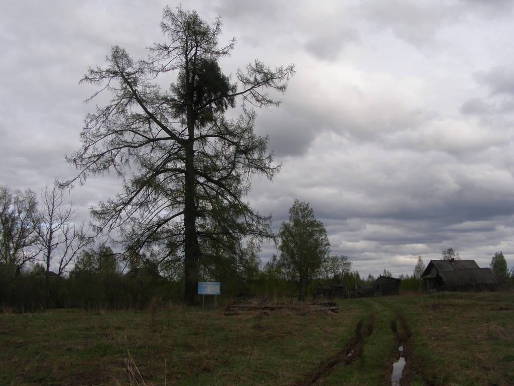 P5026839.JPG