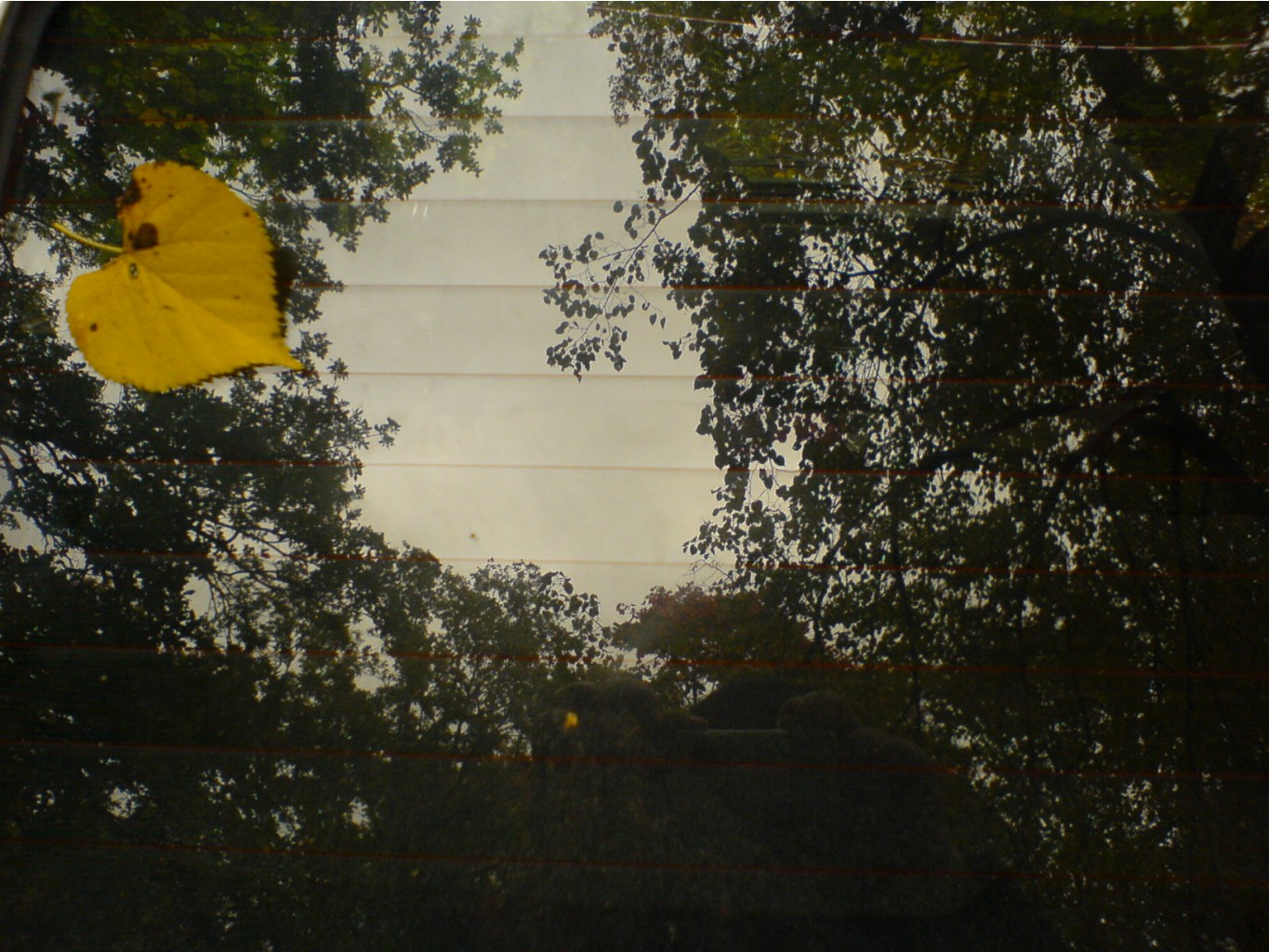 21.09.2010 16:39:11