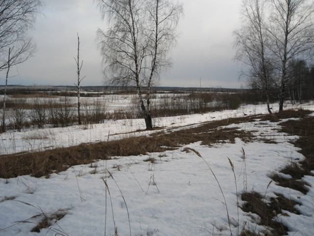 06.04.2009 11:42:41