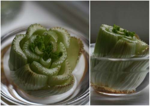 How to regrow celery.jpg