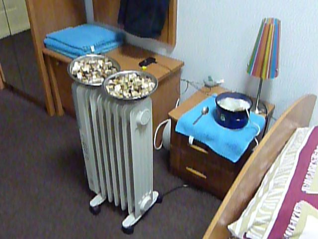 P1050002.JPG