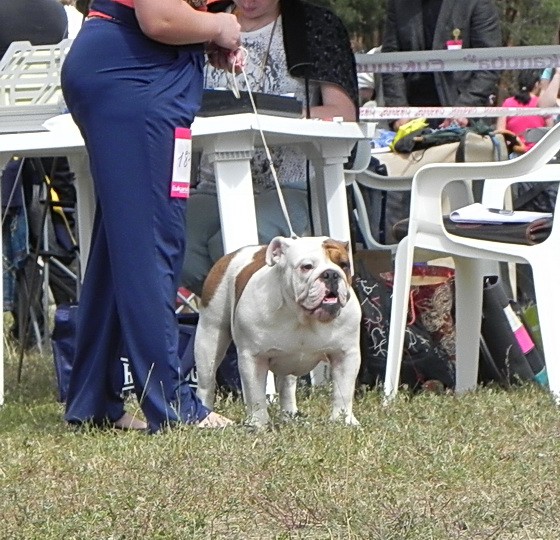  2012 CACIB FCI 