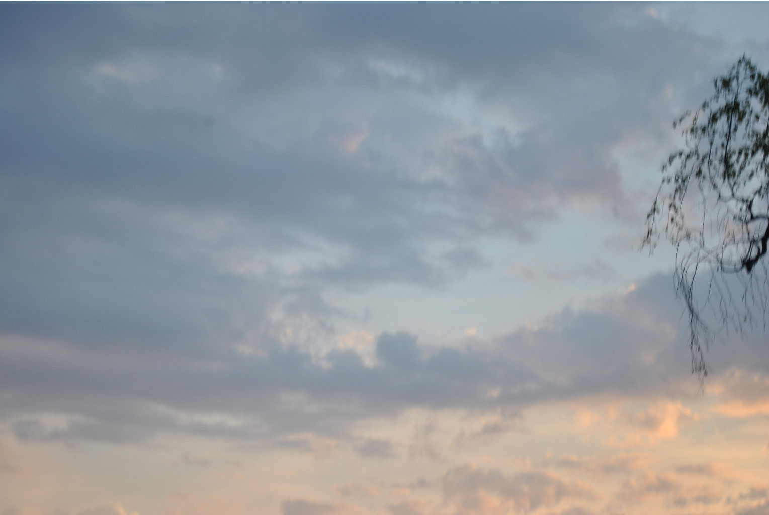 DSC_0834.JPG