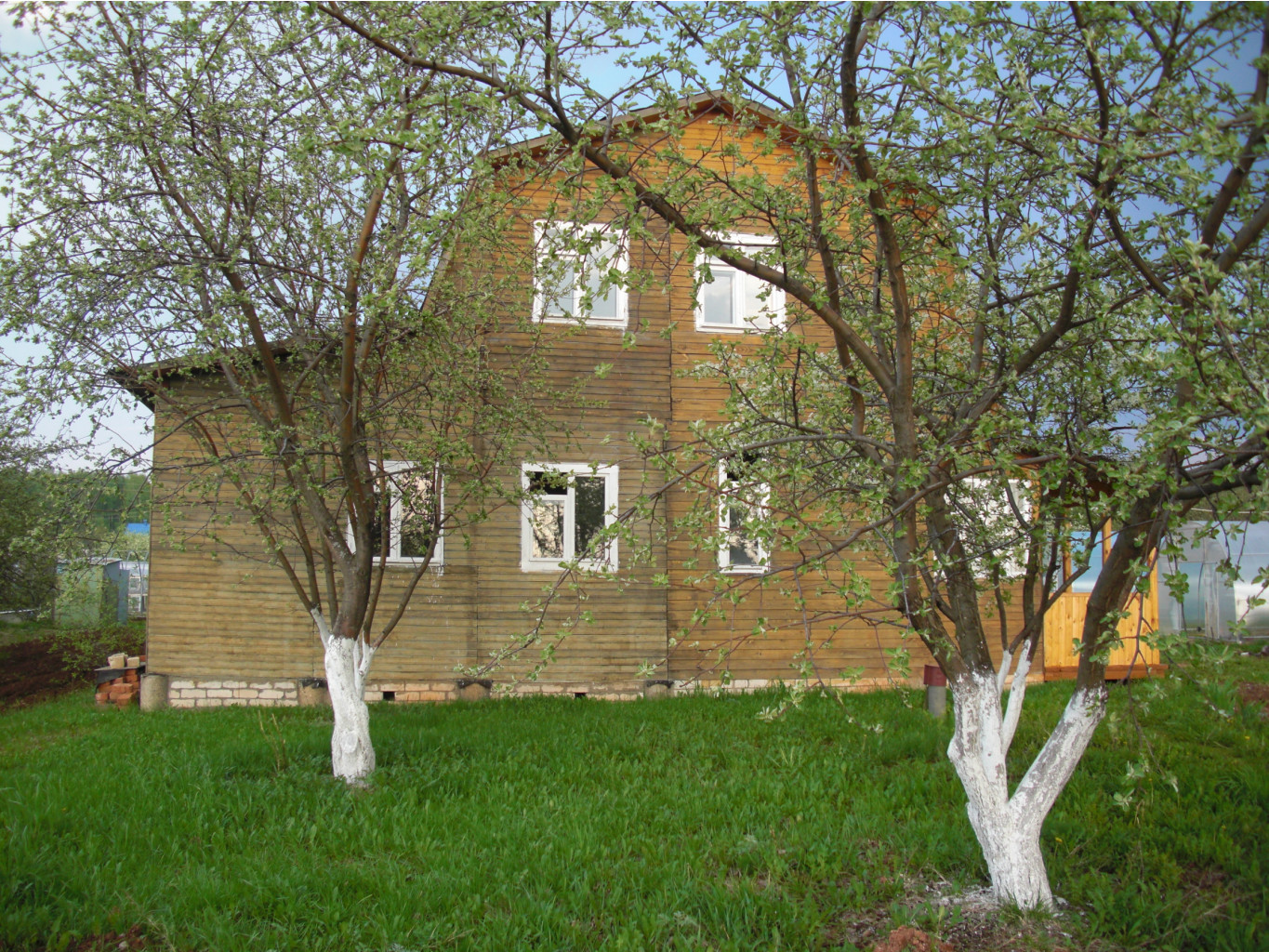 CIMG3886.JPG