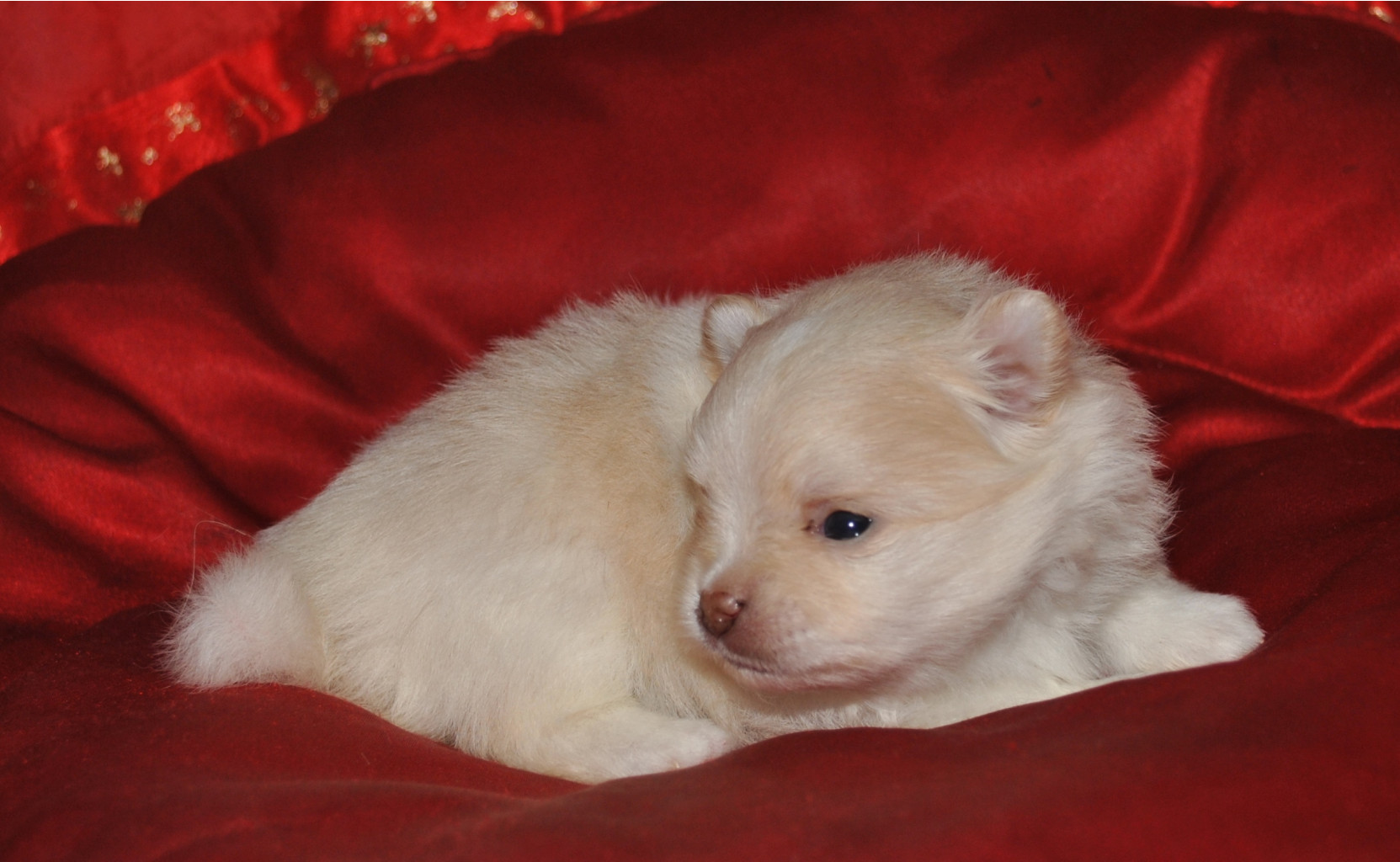 DSC_0731.jpg